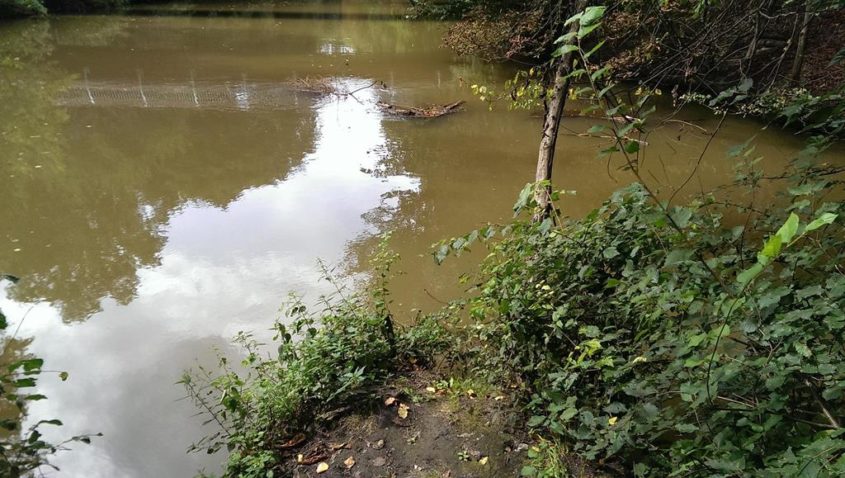 Mein Lieblingsplatz: Die Landzunge am Zusammenfluss von Pleiße und Pleißemühlgraben - Henning Uhle