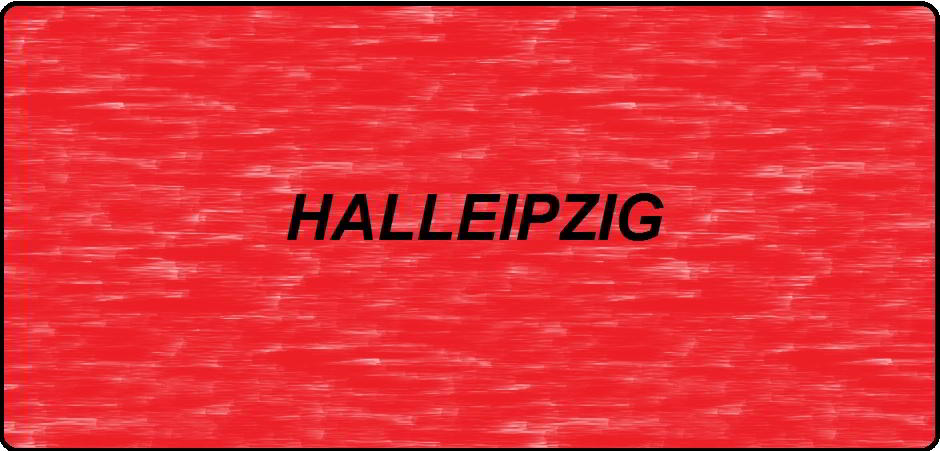 HALLEIPZIG