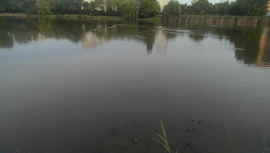 Silbersee - Endlose Ruhe am Stauteich in Leipzig-Lößnig