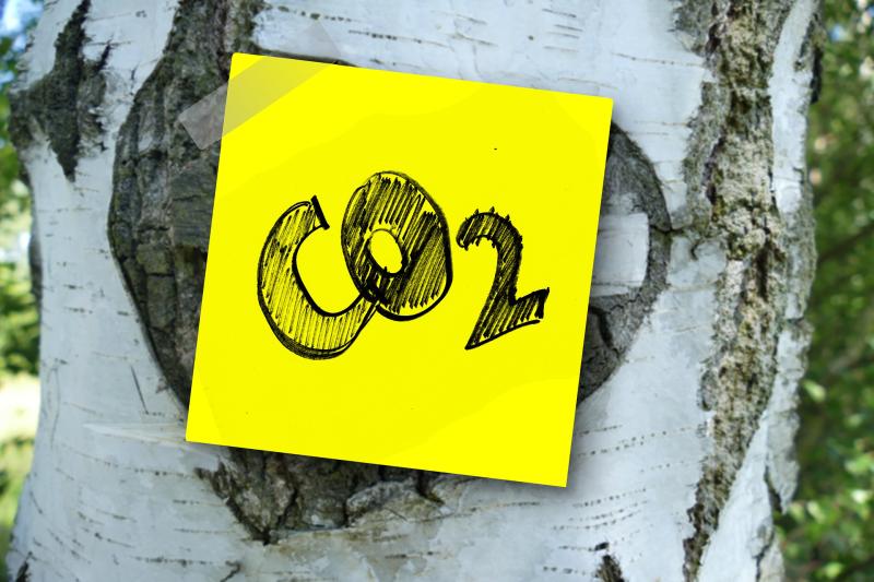 CO2 - Bild von Gerd Altmann auf Pixabay