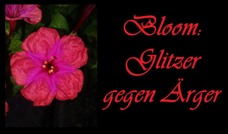 Bloom: Glitzer gegen Ärger - Bild von P4LM4 auf Pixabay