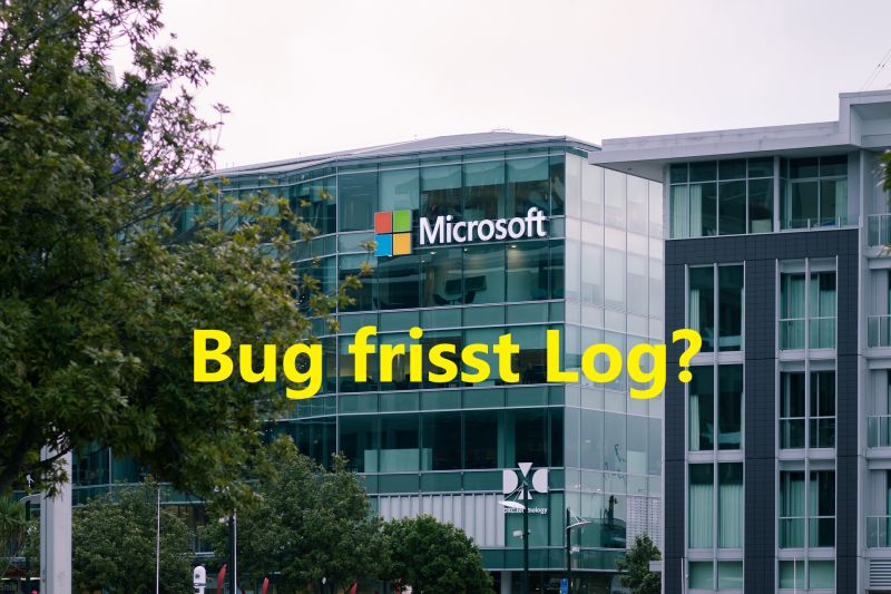 Bug frisst Log bei Microsoft? - Bild von Tawanda Razika auf Pixabay