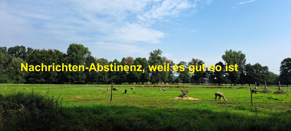 Nachrichten-Abstinenz, weil es gut so ist