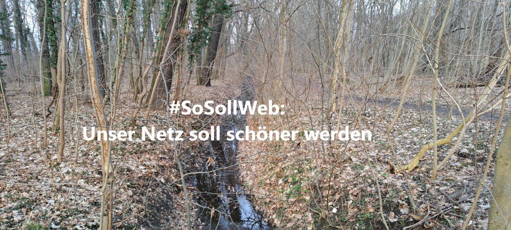 #SoSollWeb: Unser Netz soll schöner werden